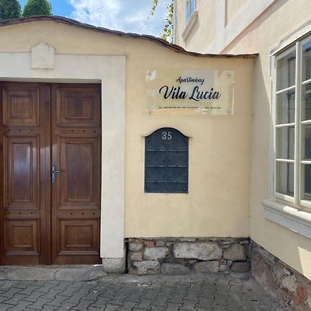 Galerie Vila Lucia 5 -Loft Apartman 比尔森 外观 照片