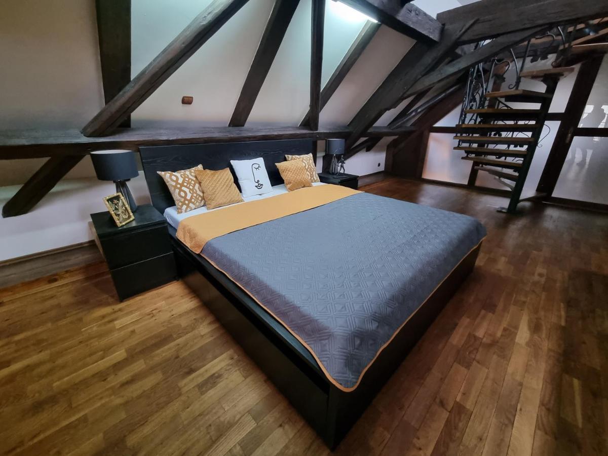 Galerie Vila Lucia 5 -Loft Apartman 比尔森 外观 照片