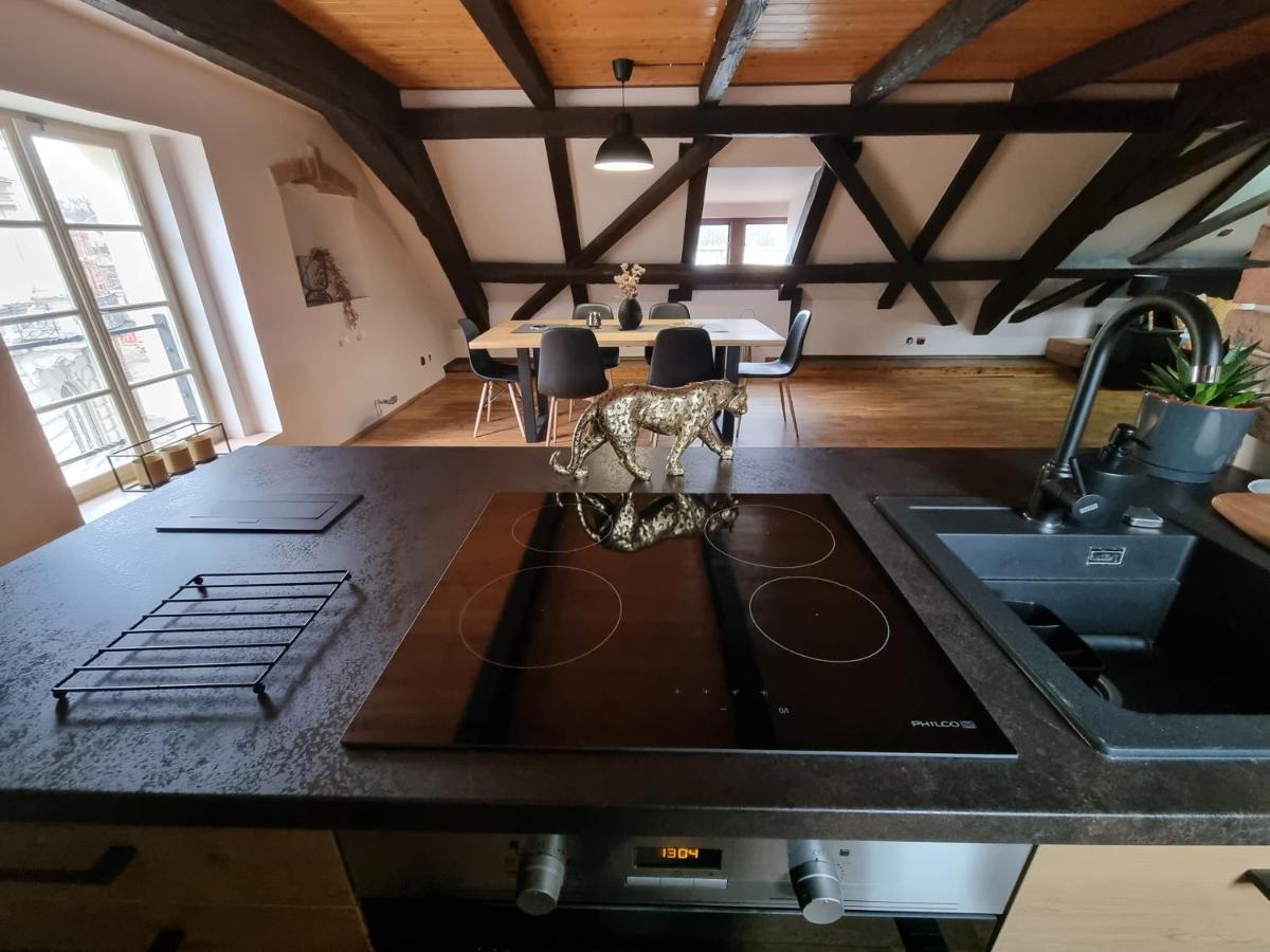 Galerie Vila Lucia 5 -Loft Apartman 比尔森 外观 照片