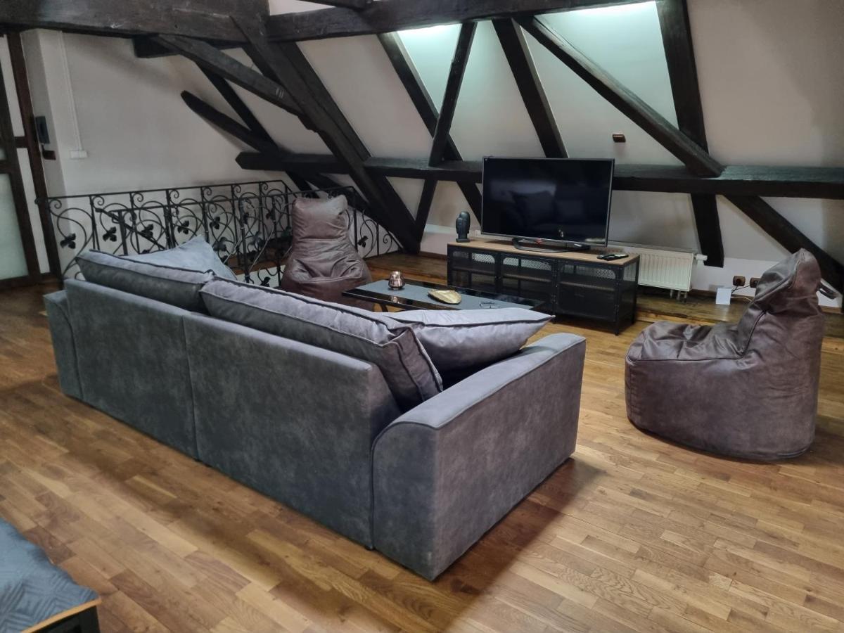 Galerie Vila Lucia 5 -Loft Apartman 比尔森 外观 照片