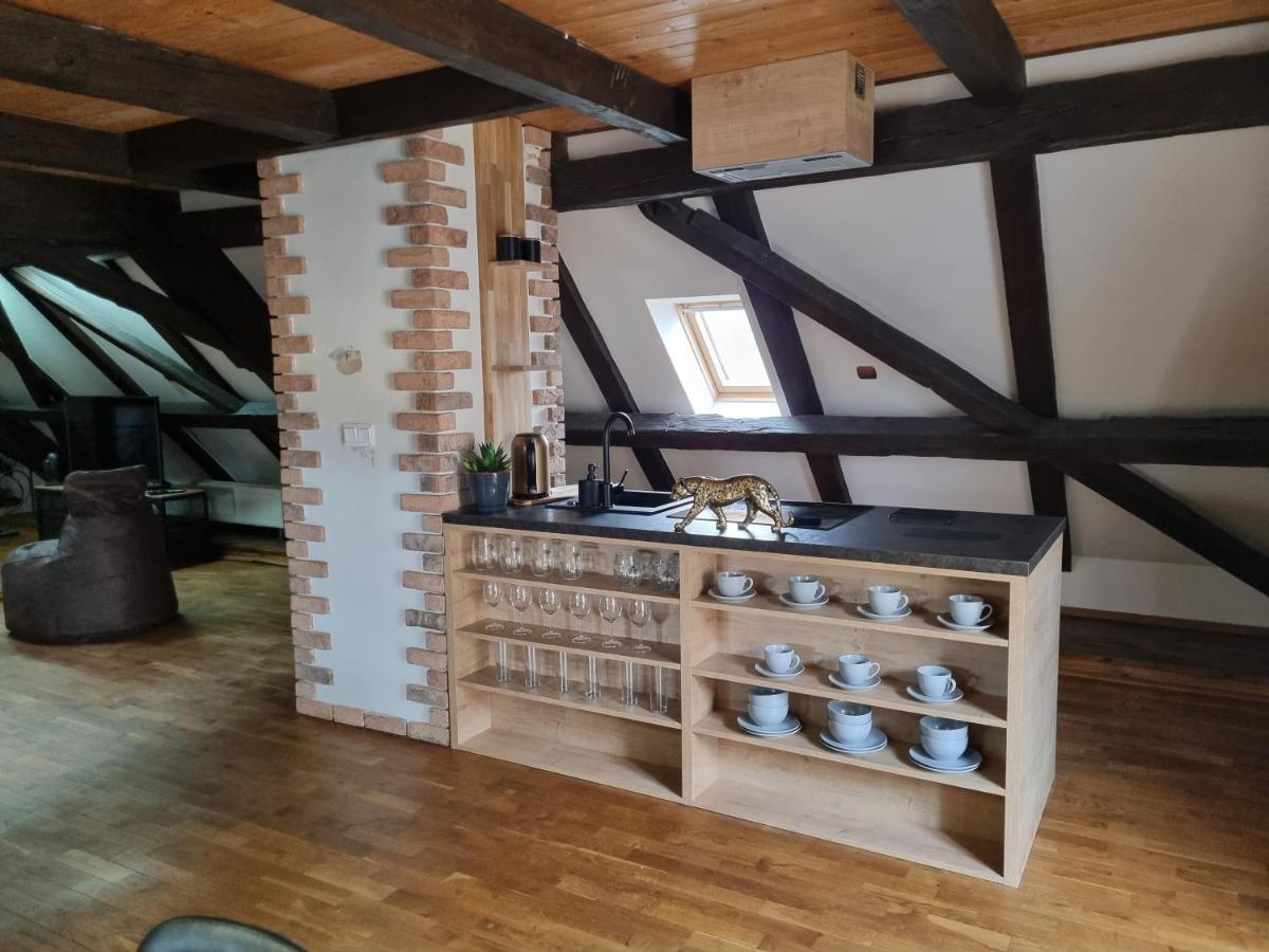Galerie Vila Lucia 5 -Loft Apartman 比尔森 外观 照片