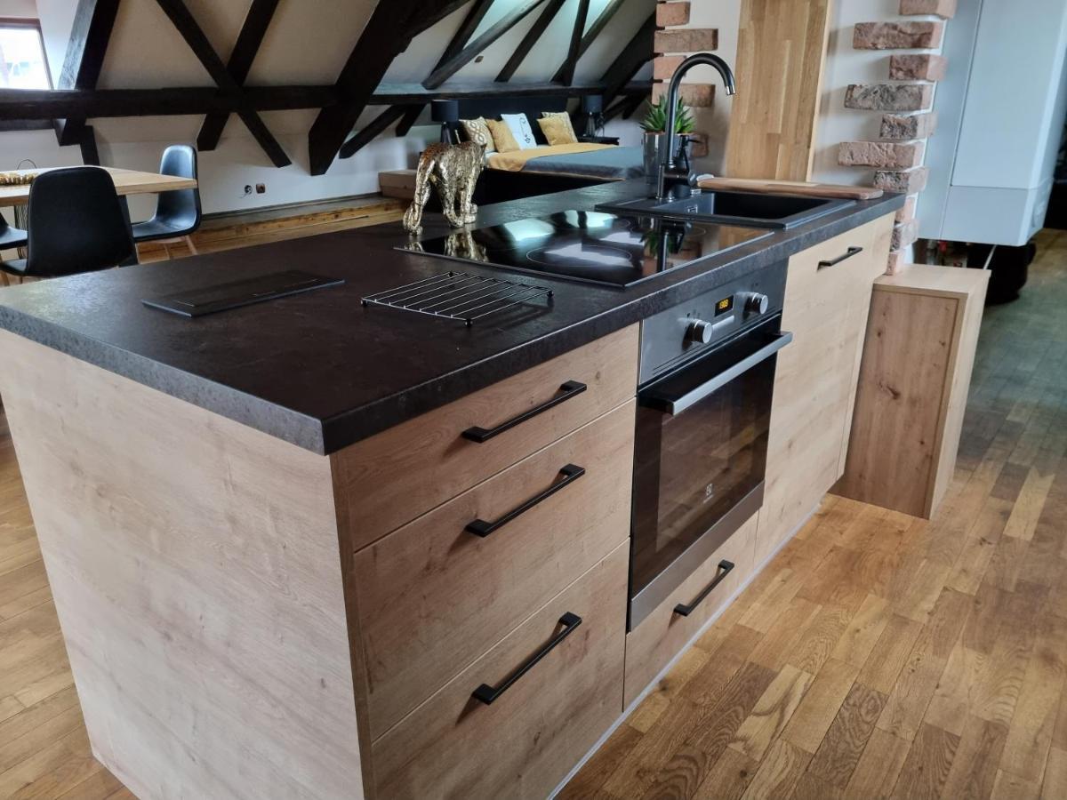 Galerie Vila Lucia 5 -Loft Apartman 比尔森 外观 照片