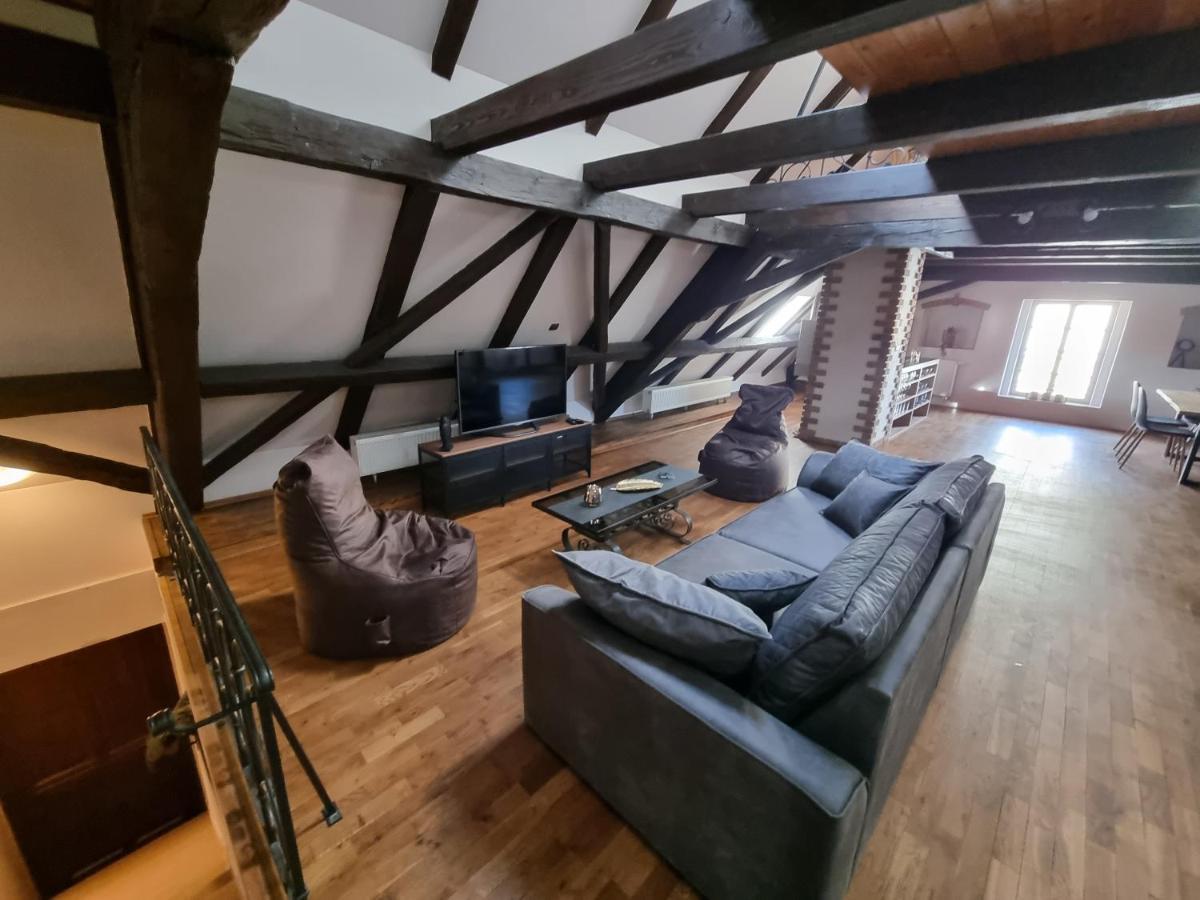 Galerie Vila Lucia 5 -Loft Apartman 比尔森 外观 照片