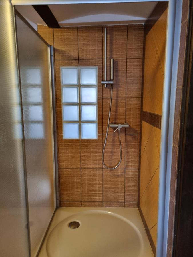 Galerie Vila Lucia 5 -Loft Apartman 比尔森 外观 照片