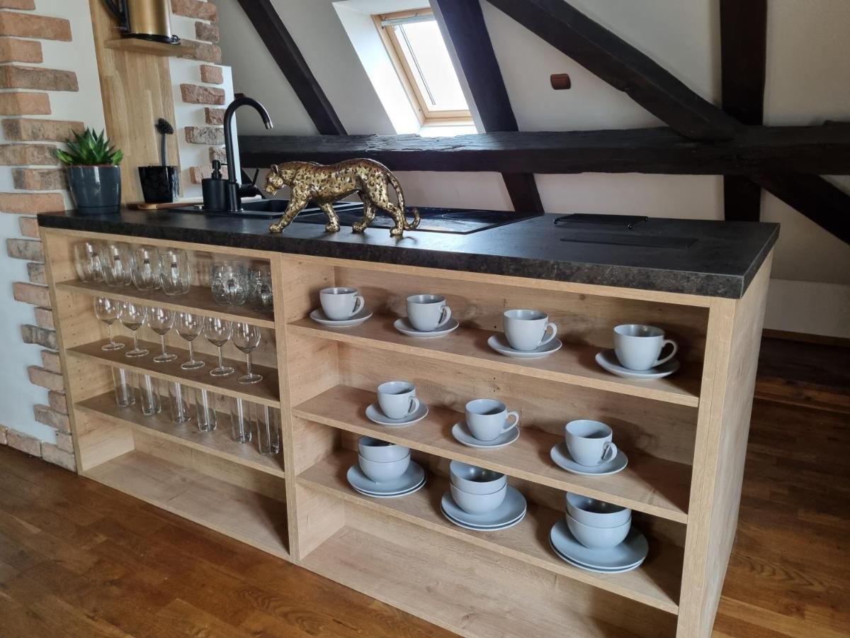 Galerie Vila Lucia 5 -Loft Apartman 比尔森 外观 照片