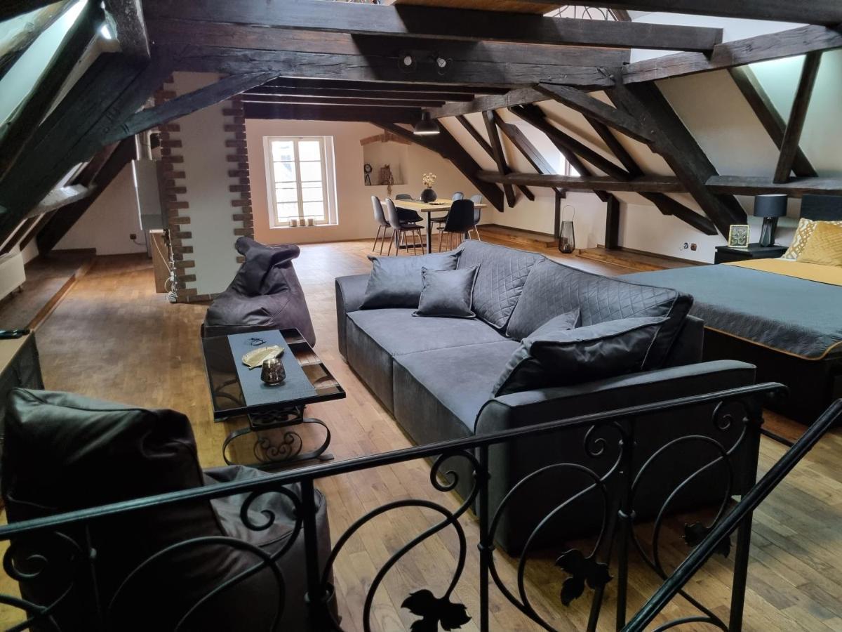 Galerie Vila Lucia 5 -Loft Apartman 比尔森 外观 照片