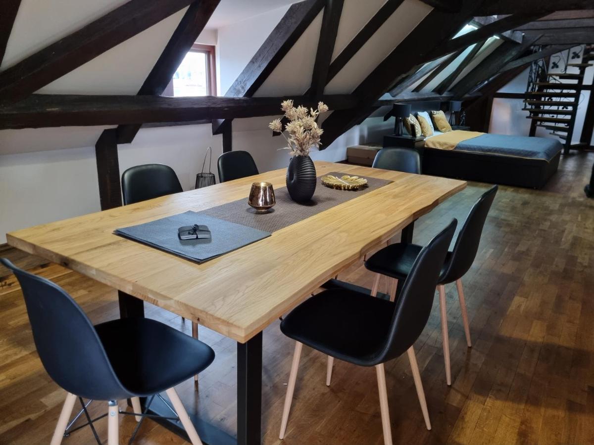 Galerie Vila Lucia 5 -Loft Apartman 比尔森 外观 照片