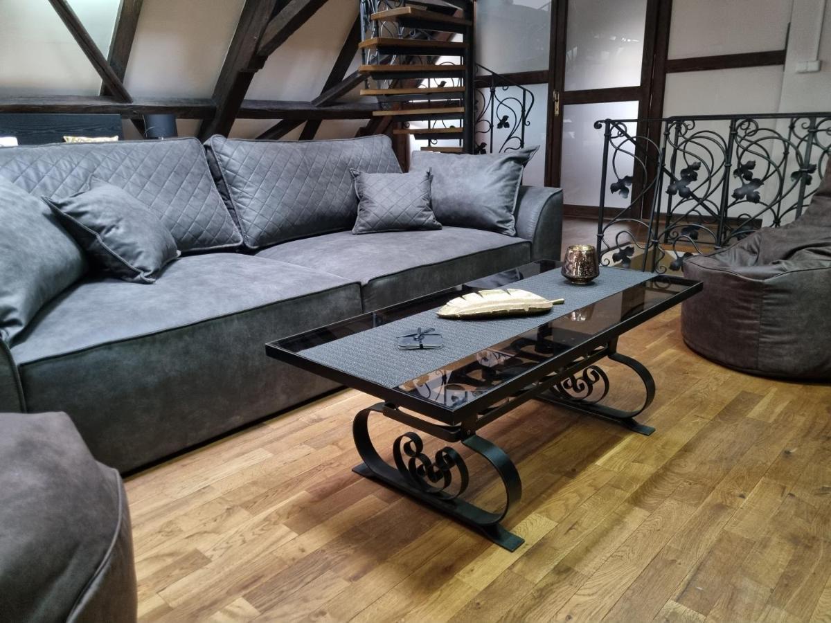 Galerie Vila Lucia 5 -Loft Apartman 比尔森 外观 照片