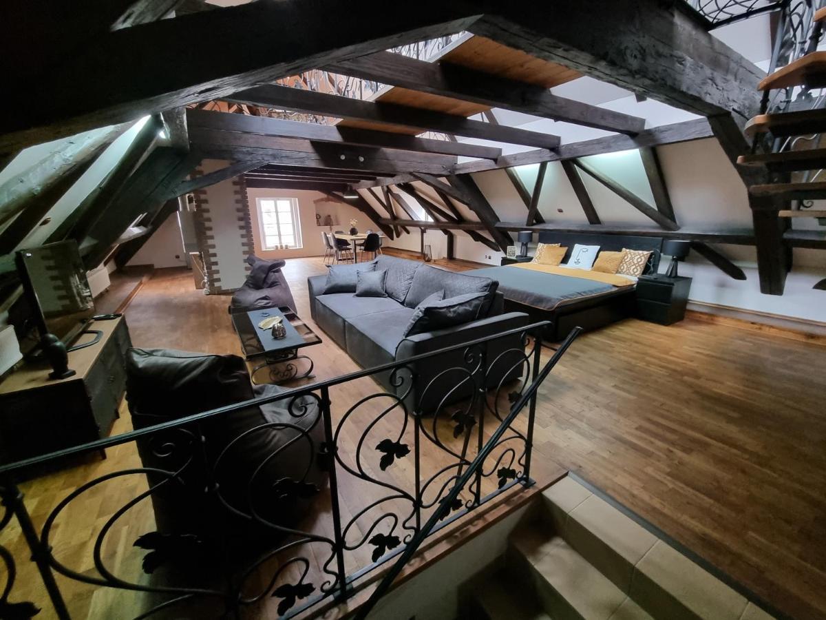 Galerie Vila Lucia 5 -Loft Apartman 比尔森 外观 照片
