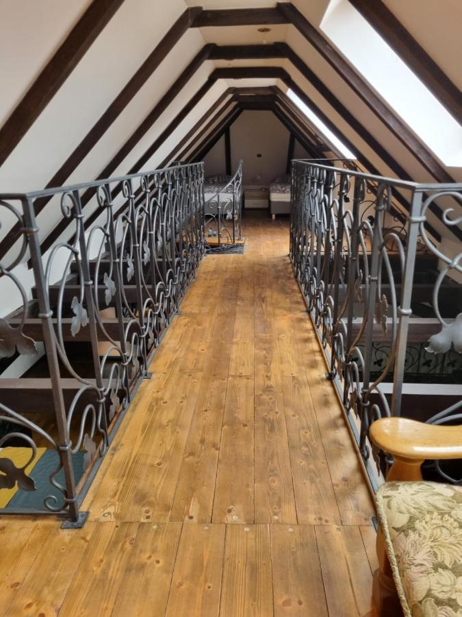 Galerie Vila Lucia 5 -Loft Apartman 比尔森 外观 照片