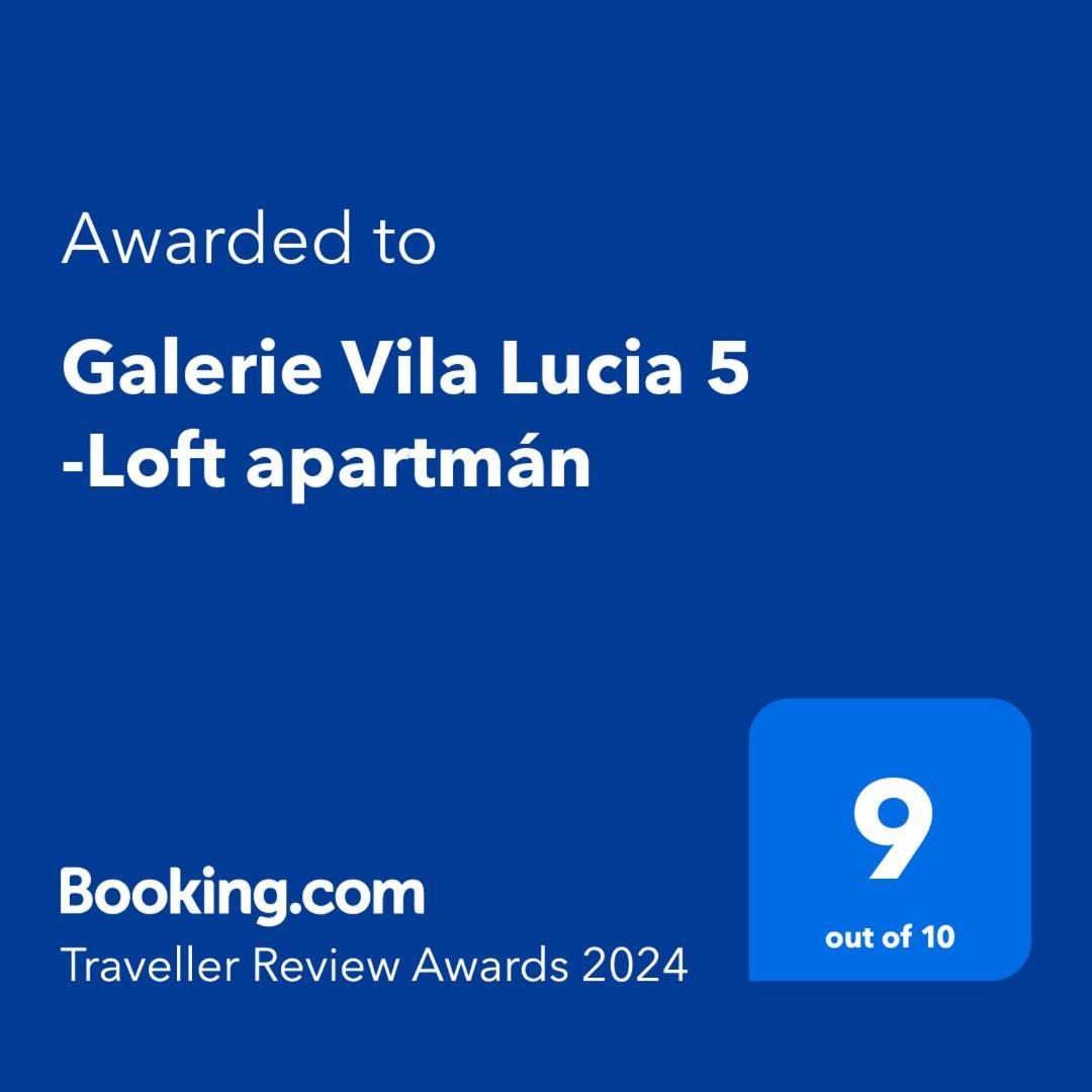 Galerie Vila Lucia 5 -Loft Apartman 比尔森 外观 照片